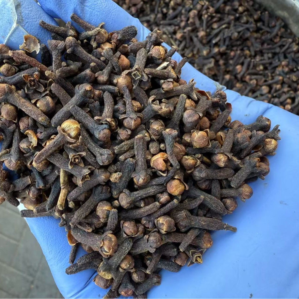 Dried Clove Spice Whole Buds for Cooking Braising and Hot Pot 500g - Image 4