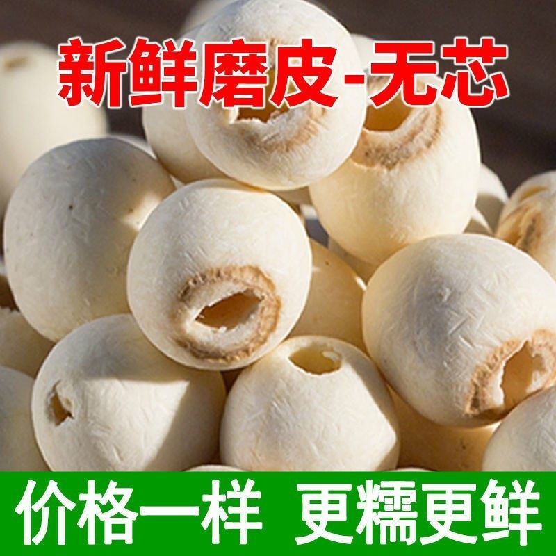 White Lotus Seeds Bai Lian Zi 500g Dried Coreless Hunan Lotus Seeds for Soup and Congee - Image 2