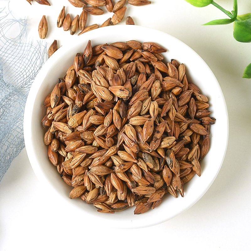 Roasted Barley Tea (Hordeum vulgare) — Bulk Loose Grain Herbal Tea, 500g - Image 2