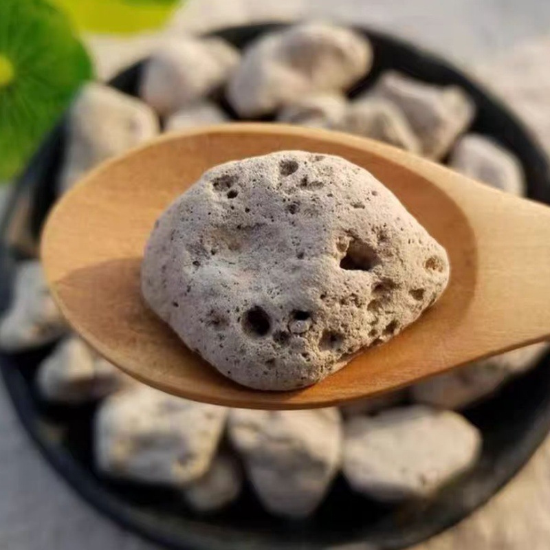 Hai Fu Shi (Pumice / Costazia aculeata) — Dried Mineral Herb for TCM Decoction - Image 4
