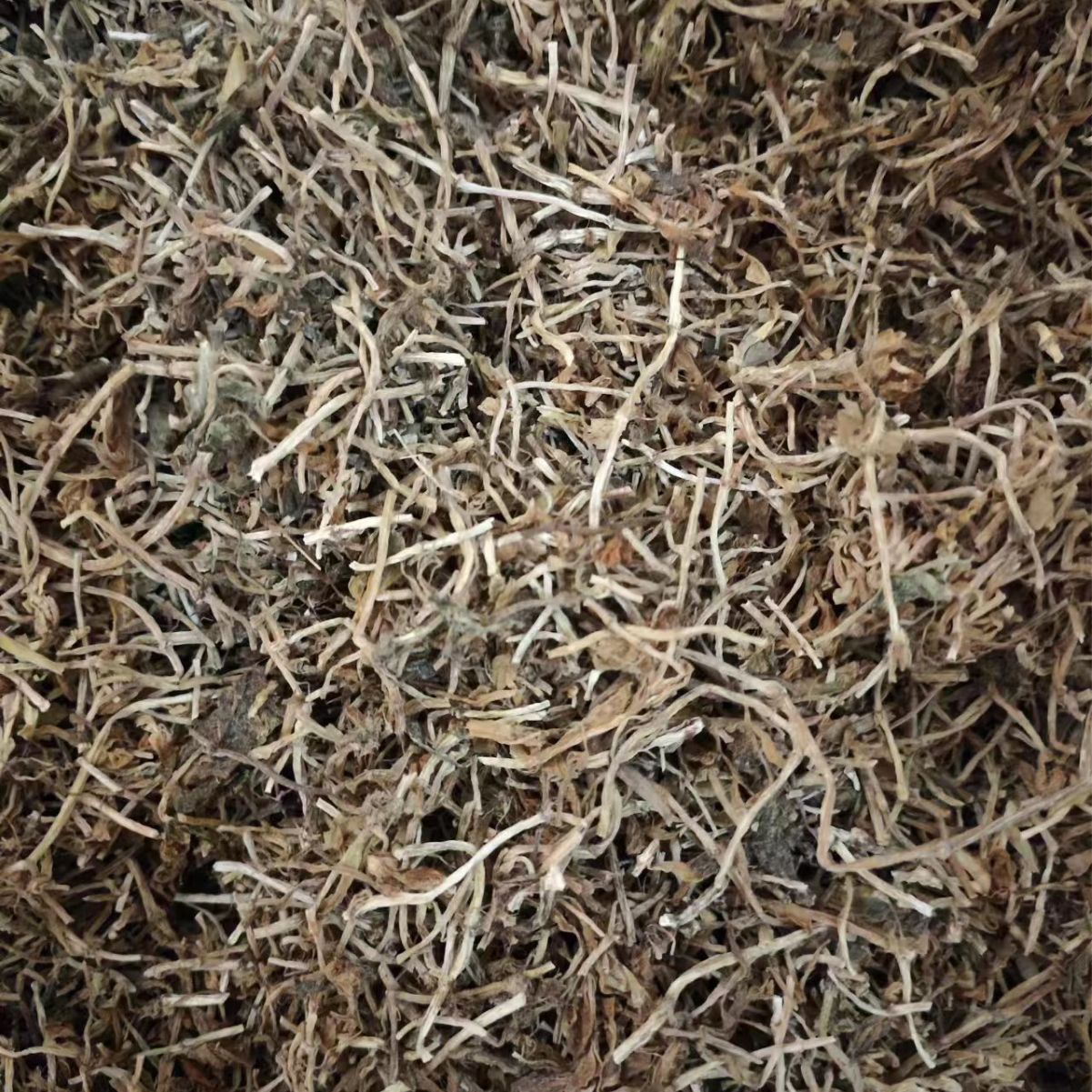 Chui Pen Cao (Sedum sarmentosum) — Dried Chinese Herbal Decoction Pieces, 500g - Image 2