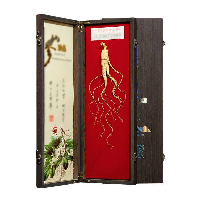 Changbai Mountain Wild Ginseng Gift Box Whole Root 50g Traditional Herbal Gift for Elders - Image 5