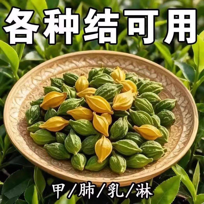 Nodule Care Herbal Tea Bag Blend 21 Herb Dandelion Formula 150 Bags Daily Wellness Tea - Image 4
