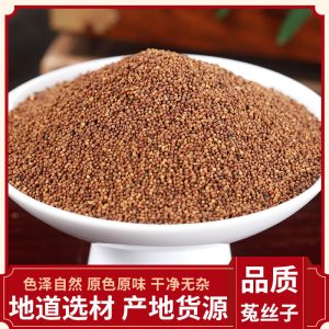 Tu Si Zi (Cuscuta chinensis) — Washed & Prepared Dodder Seed, Food Herb for Cooking