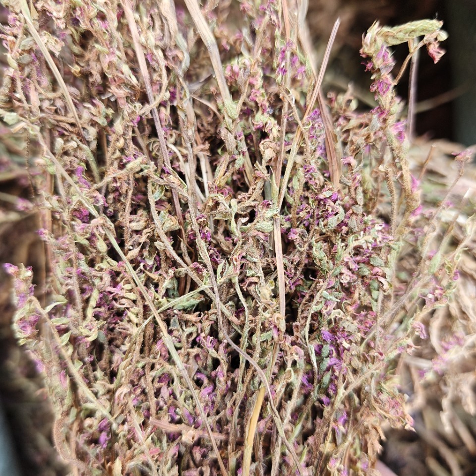 Pan Long Shen (Spiranthes sinensis) — Dried Food Herb, Rare Chinese Botanical - Image 4