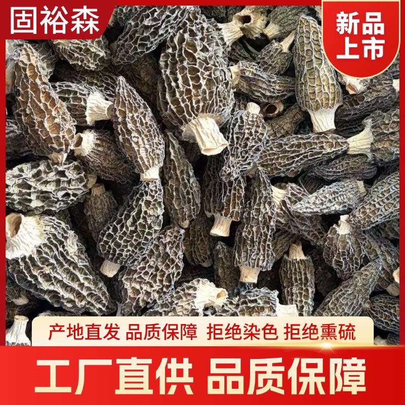 Fresh Morel Mushrooms Yang Du Jun 500g Jilin Origin Direct Supply - Image 3