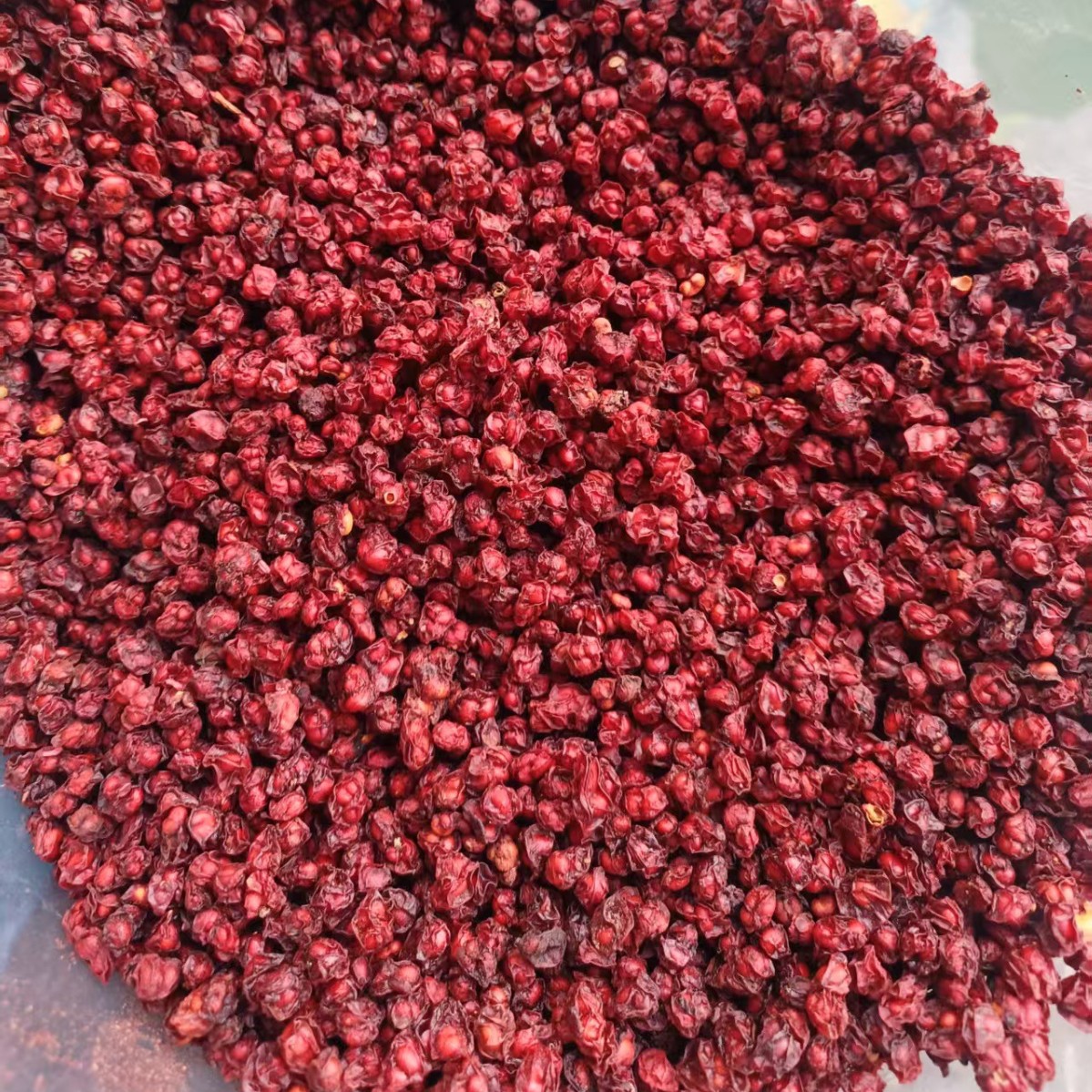 Dried Schisandra Berry Wu Wei Zi 500g Jilin Northeast Schisandra Chinensis Fruit for Tea and Decoction - Image 4