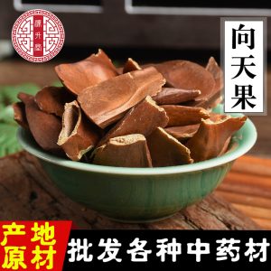 Xiang Tian Guo (Fructus Swieteniae) — Dried Solomon Bitter Fruit Kernels, Food Herb 500g