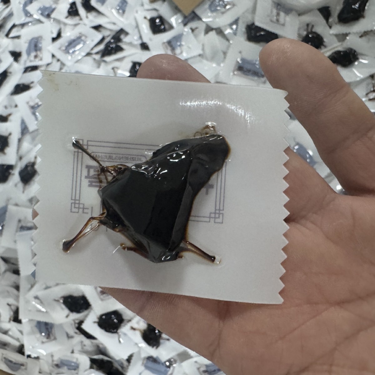 Nine-Steamed Nine-Sun-Dried Polygonatum Ready-to-Eat Huang Jing 250g Bottle - Image 4