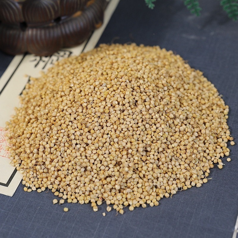 Dried Gu Ya Sprouted Rice Grain for Herbal Tea Soup and Daily Decoction 500g - Image 3