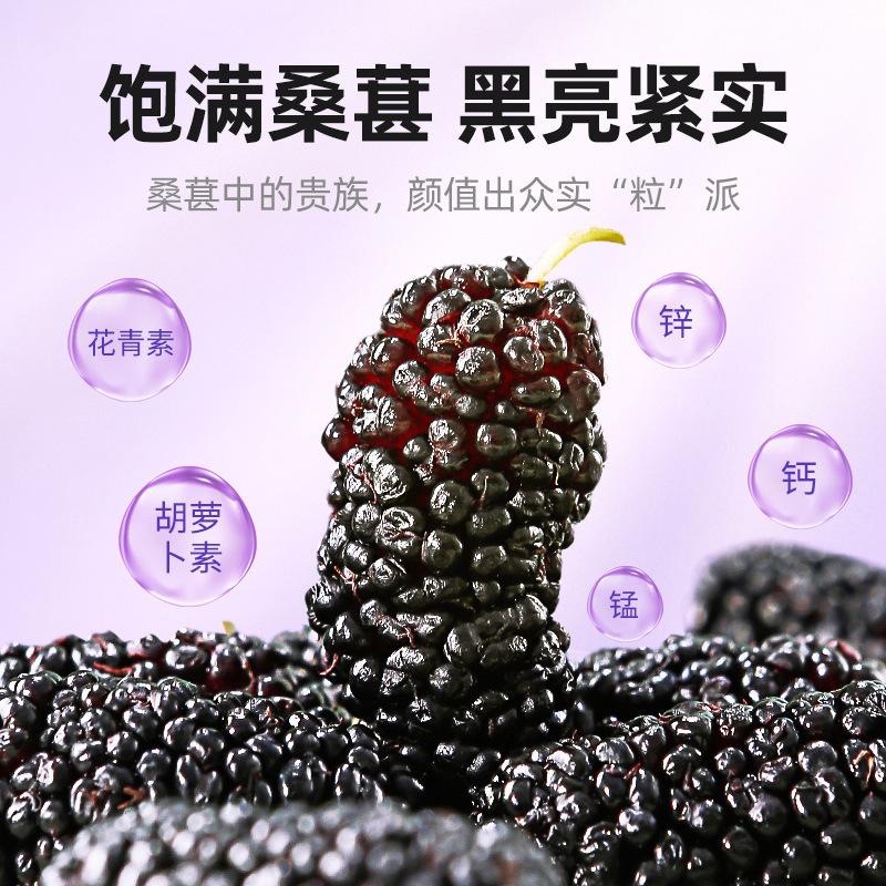Dried Black Mulberry Fruit 200g Jar Ready to Eat Sang Shen Dried Mulberries for Tea and Snacks - Image 4