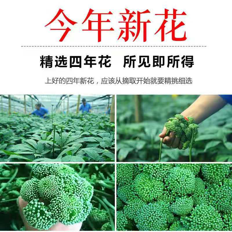 Panax Notoginseng Flower Tea San Qi Hua Dried TCM Herbal Tea 500g Loose Blooms for Daily Infusion - Image 4