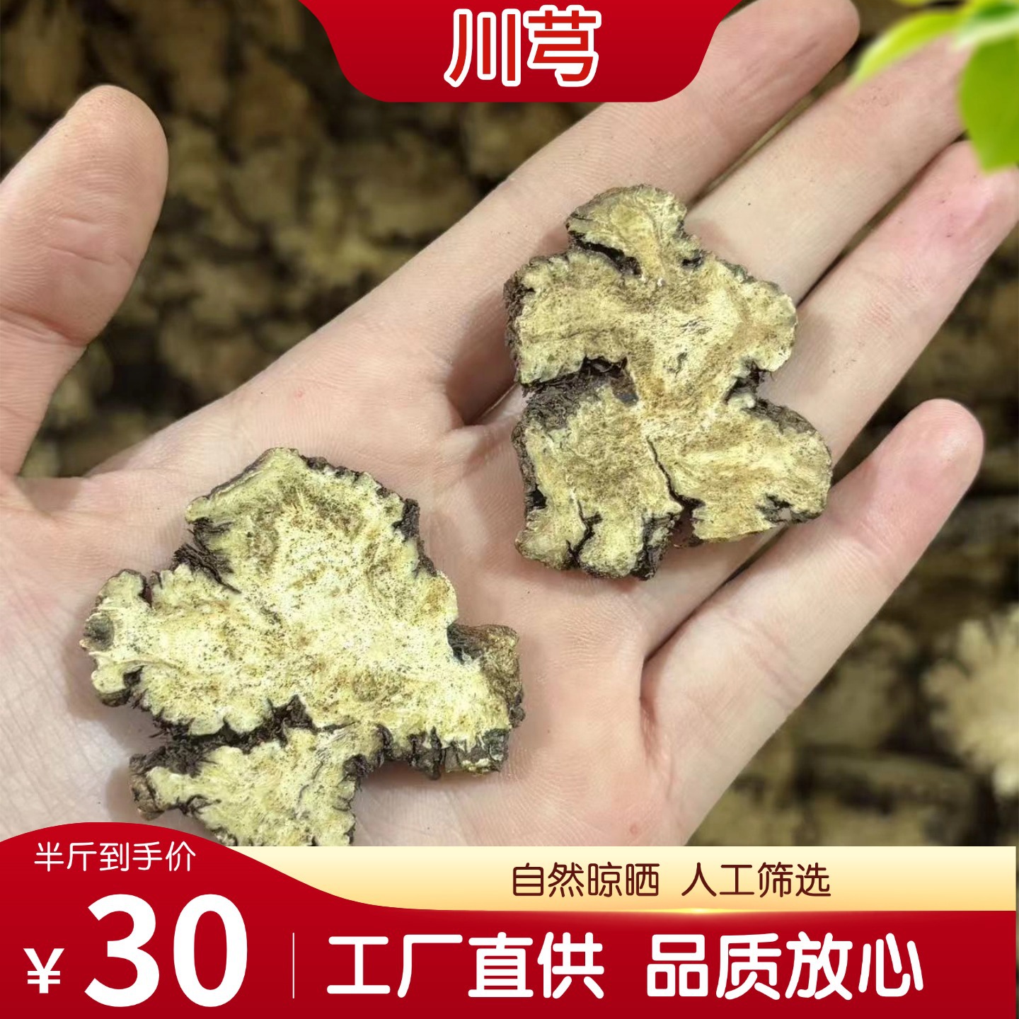 Dried Chuanxiong Rhizome Slices 250g Half Jin Sun Dried for Herbal Soup and Tea - Image 4