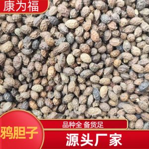Ya Dan Zi (Brucea javanica) — Dried Bitter Seed Herb, 500g, Unsulfured
