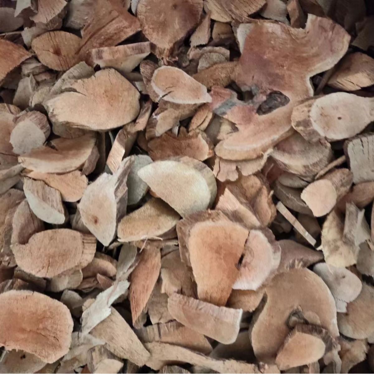 Hei Lao Hu (Kadsura coccinea) — Dried TCM Vine Root & Fruit, 500g - Image 2