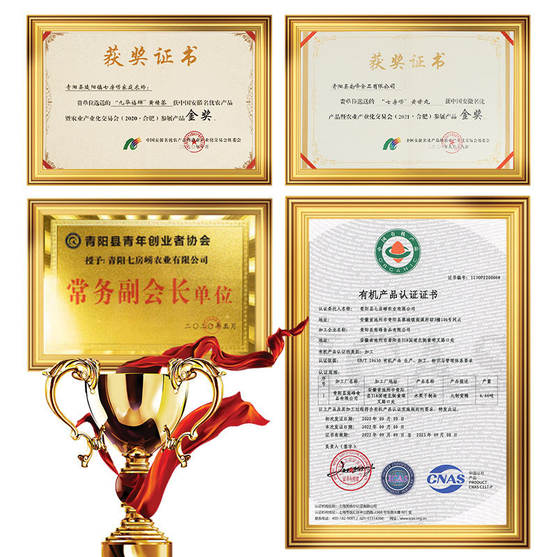 Nine-Steamed Nine-Sun-Dried Polygonatum Fruit Jiuzhi Huangjing Ready-to-Eat Herbal Snack 500g Vacuum Packed - Image 4