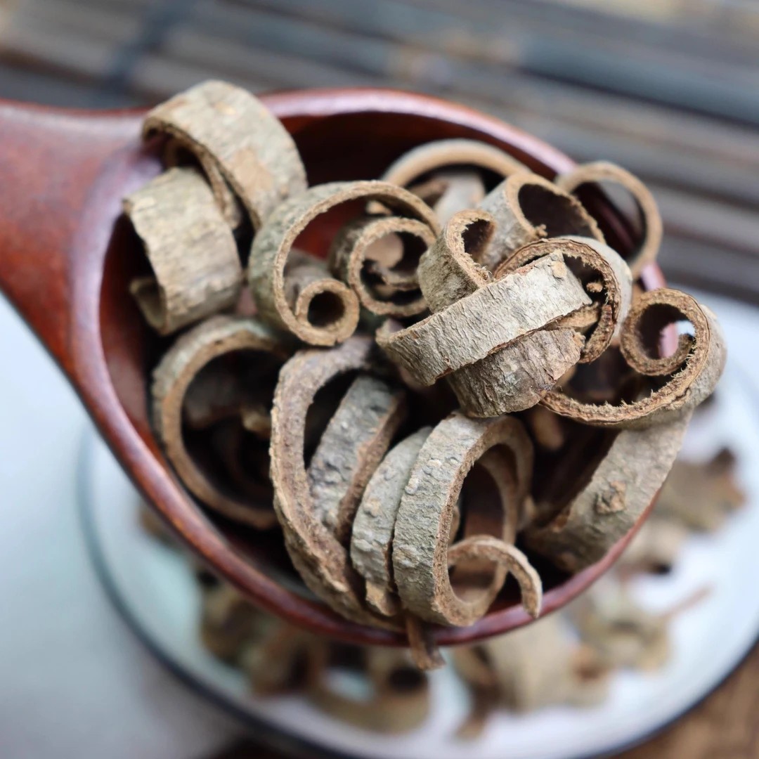 Magnolia Bark Hou Po 厚朴 Dried Herbal Slices 100g Bottle Traditional TCM Decoction Herb - Image 4
