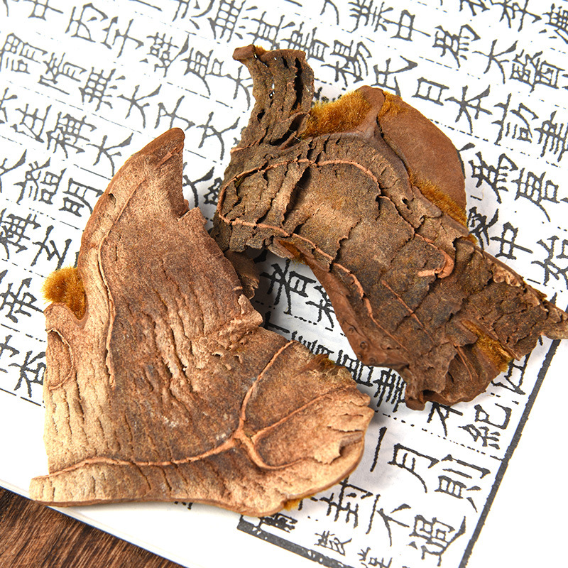 Gou Ji (Cibotium barometz) — Golden Hair Dog Spine Rhizome, Prepared & Powdered - Image 3