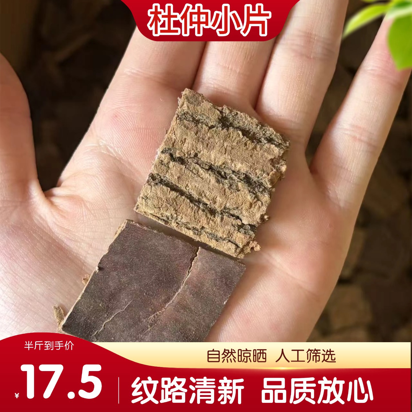 Dried Eucommia Bark Small Slices 500g Traditional Herbal Decoction Piece for Tea and Wine Soak - Image 4