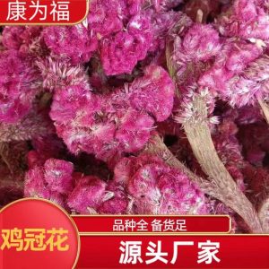 Ji Guan Hua (Celosia argentea) — Dried White & Red Cockscomb Flower, 500g