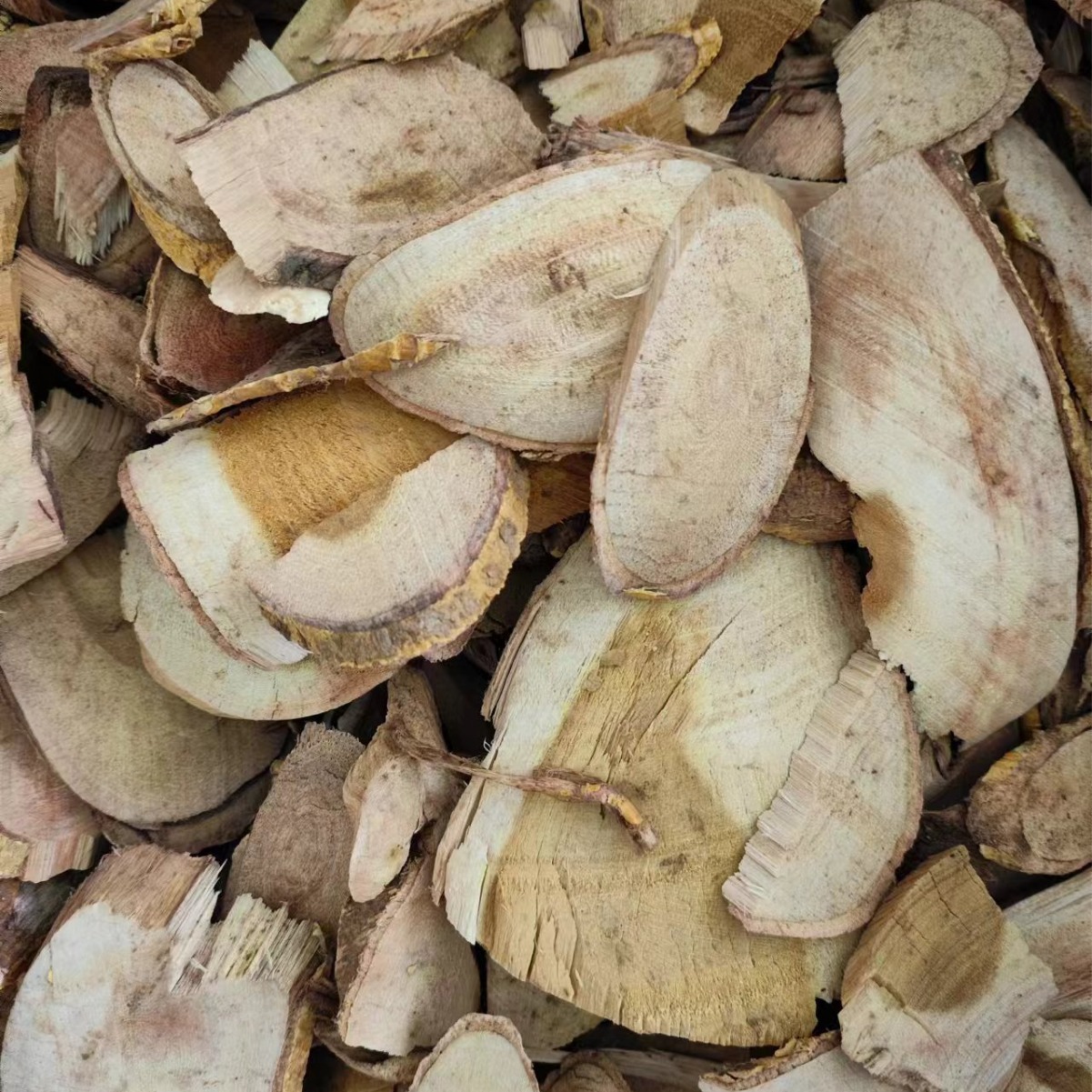 Chuan Po Shi Root (Cudrania cochinchinensis) — Dried TCM Herb, Powder Available - Image 2