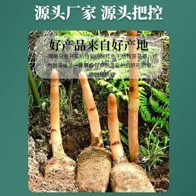Dried Gastrodia Root Tian Ma 500g Sulfur-Free Wild-Simulated Dabie Mountain Herb for Decoction and Soup - Image 2