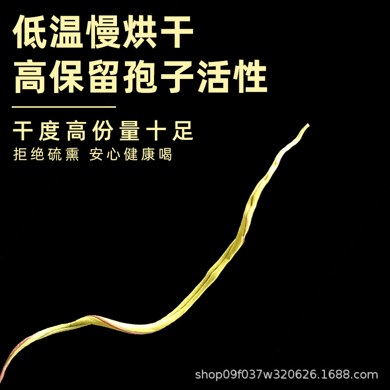 Wild Small Leaf Orthosiphon Kidney Tea Mao Xu Cao Dried Herb for Daily Herbal Infusion 250g - Image 3