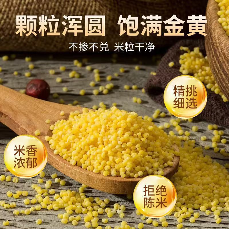 Yellow Millet Huang Xiao Mi 500g Bag New Crop Hulled Millet Grain for Congee Porridge and Culinary Use - Image 3
