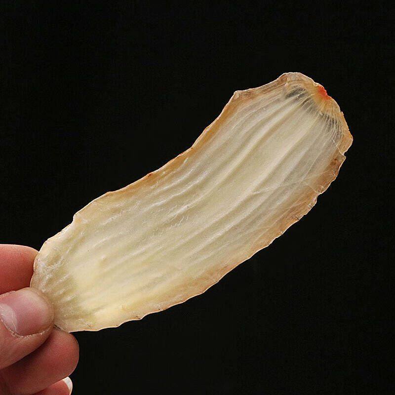 Dried Gastrodia Slices Tian Ma 500g Yunnan Gastrodia elata Root Decoction Herb - Image 4