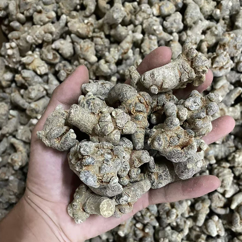 Dried Notoginseng Root Heads from Yunnan Wenshan Sanqi Tianqi Herbal Decoction Pieces 250g - Image 4
