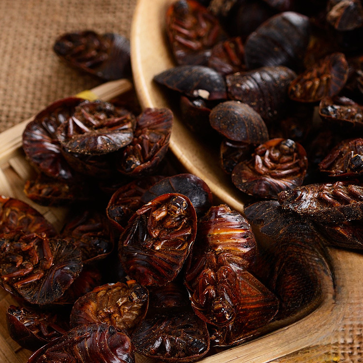 Dried Ground Beetle Tu Bie Chong 500g Loose Traditional Chinese Herb - Image 3