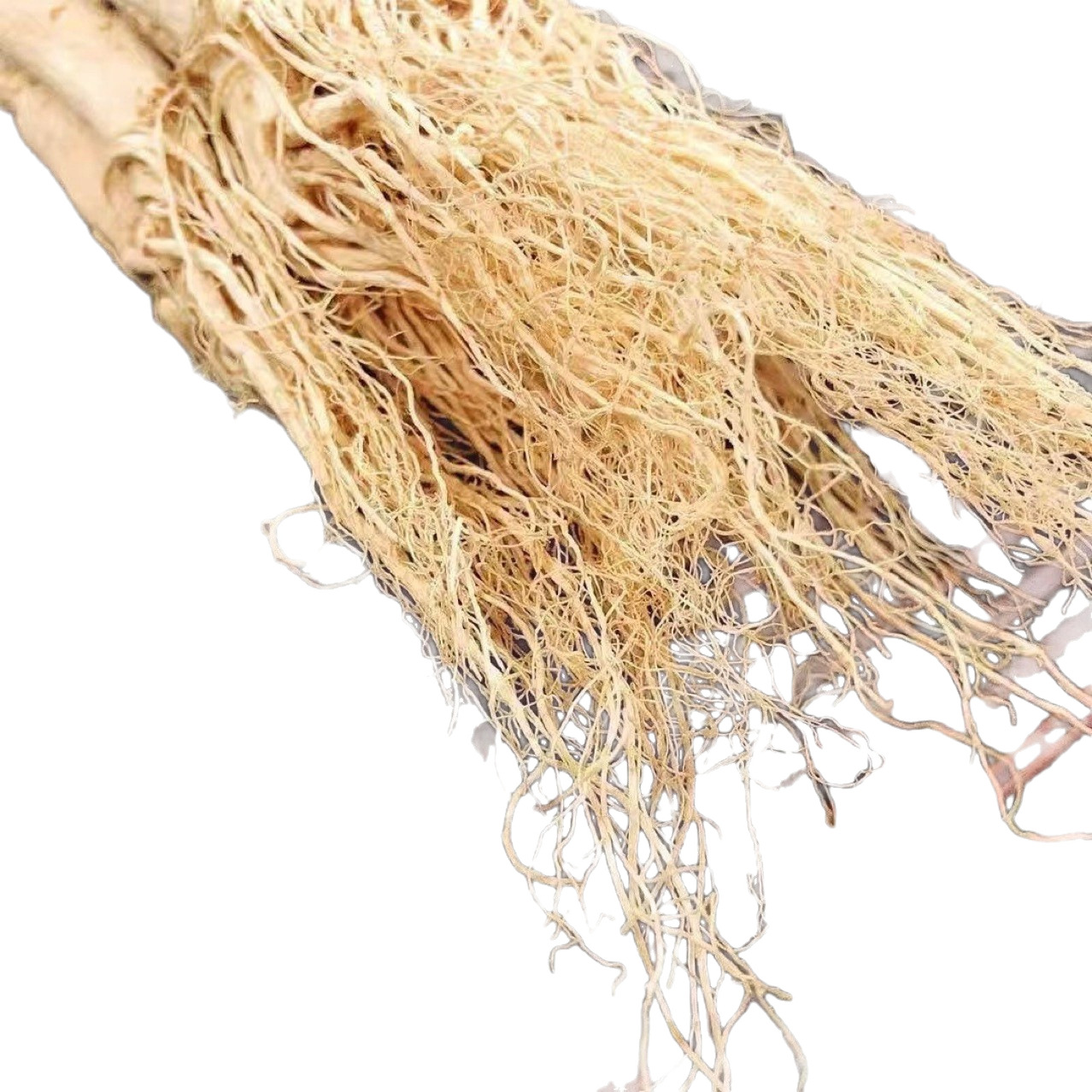 Changbai Mountain 10-Year Fresh Ginseng (Panax ginseng) — 500g for Soup & Wine - Image 5