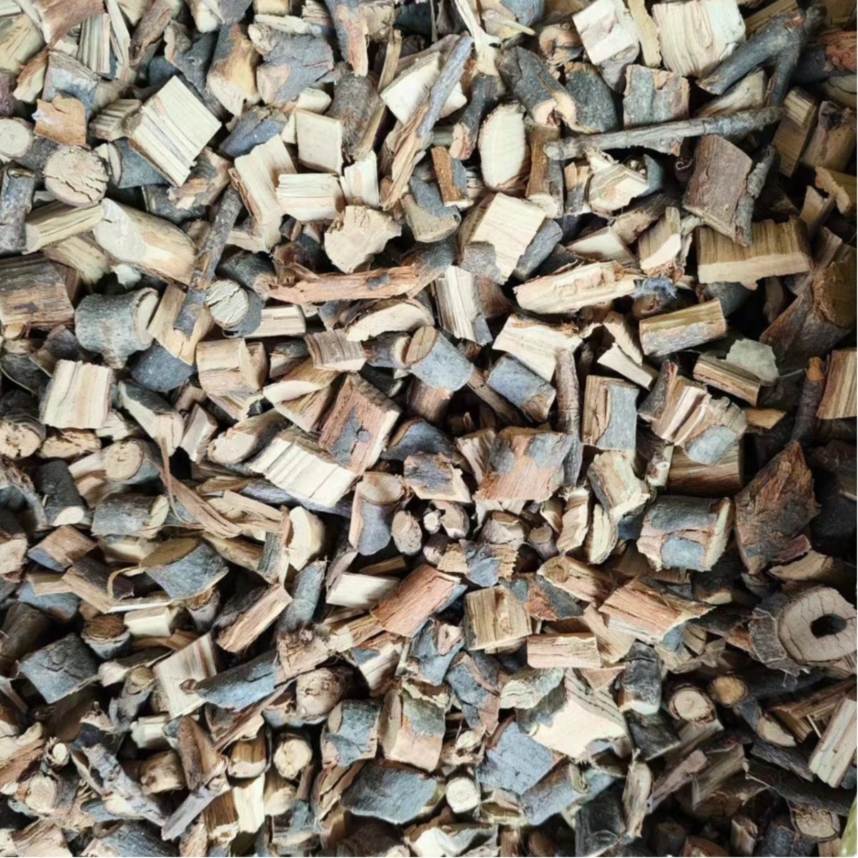 Shi Nan Teng (Piper wallichii) — Dried Food Herb Vine for Tea & Soup - Image 5