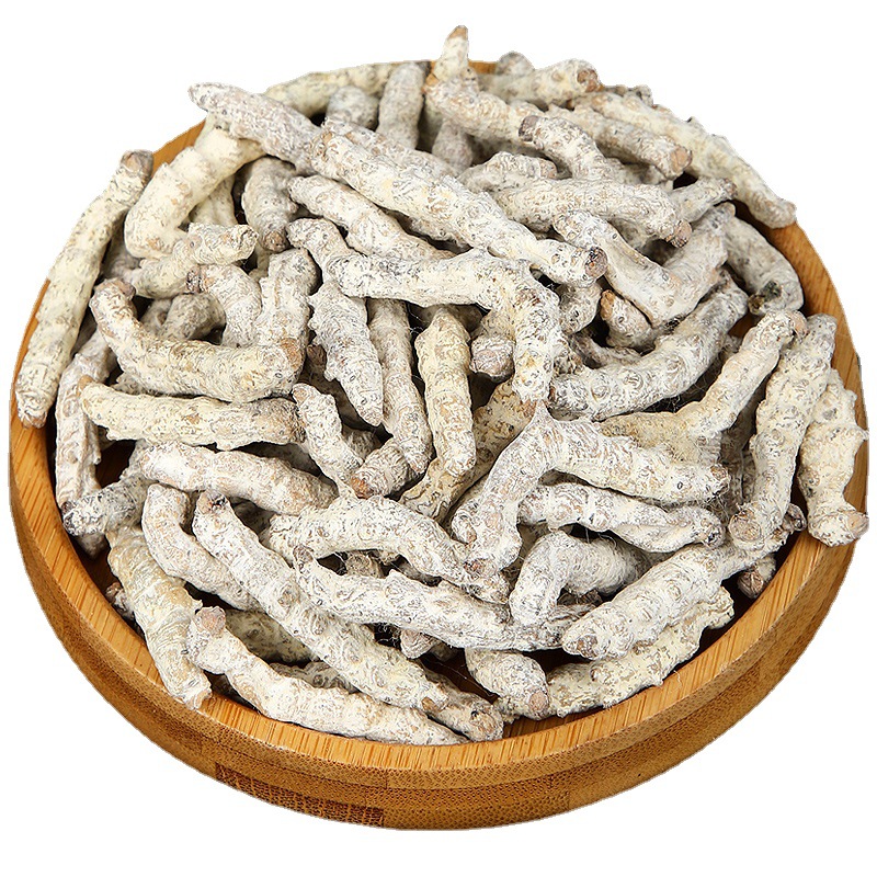 Jiang Can (Bombyx Batryticatus) — Dried White Stiff Silkworm for TCM Decoction & Powder - Image 5