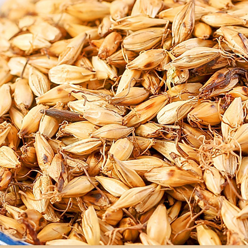 Fried Malt Sprout Mai Ya 150g Dried Barley Sprout Tea Traditional Chinese Herb for Weaning Support - Image 3