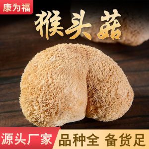 Hou Tou Gu Dried Mushroom (Hericium erinaceus) — Wild-Grown Lion's Mane for Soup & Cooking
