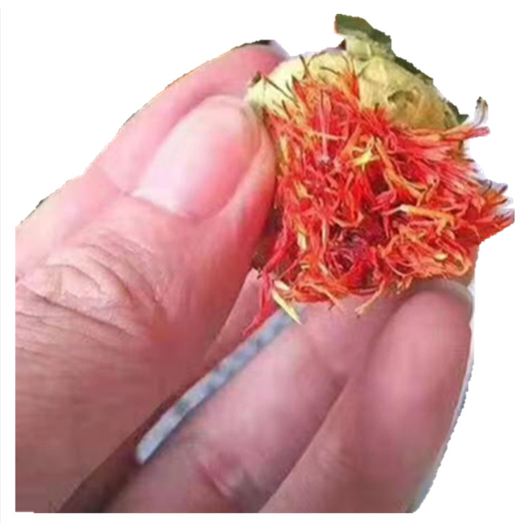 Safflower Flower Heads (Carthamus tinctorius) — Dried Whole Blossoms, Tibetan Origin, 500g - Image 5
