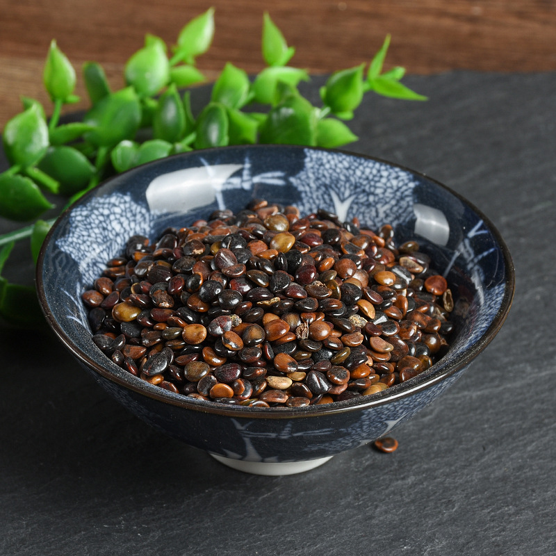 Zhi Ju Zi (Hovenia dulcis) — Dried Food-Herb Fruit for Tea & Soup - Image 2