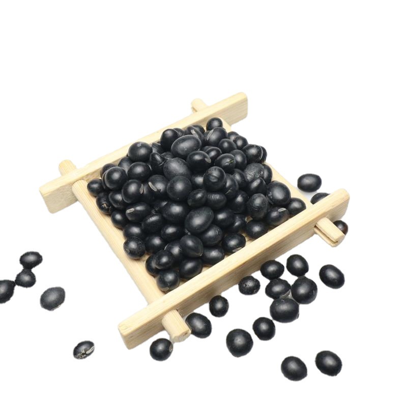 Black Soybeans, Green Kernel (Glycine max) — Northeast China Hei Dou, Food-Herb Legume - Image 4