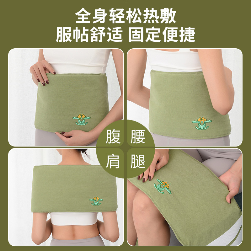 Electric Moxibustion Heat Belt Ai Jiu Bao Warm Waist and Abdomen Therapy Pad with Wild Mugwort Wool Herbal Pack for Home Use - Image 2