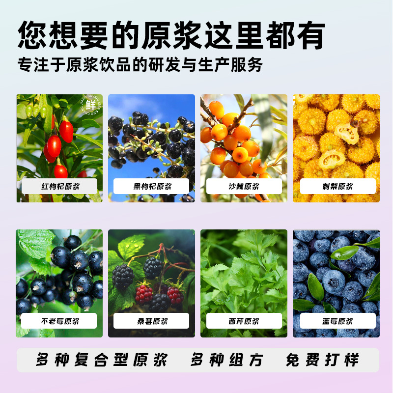 Dangshen Huangqi Herbal Drink Concentrate 30ml Sachets Plant Beverage - Image 4