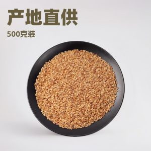 Bai Zi Ren (Platycladus orientalis) — Dried Arborvitae Seed for Tea & Congee