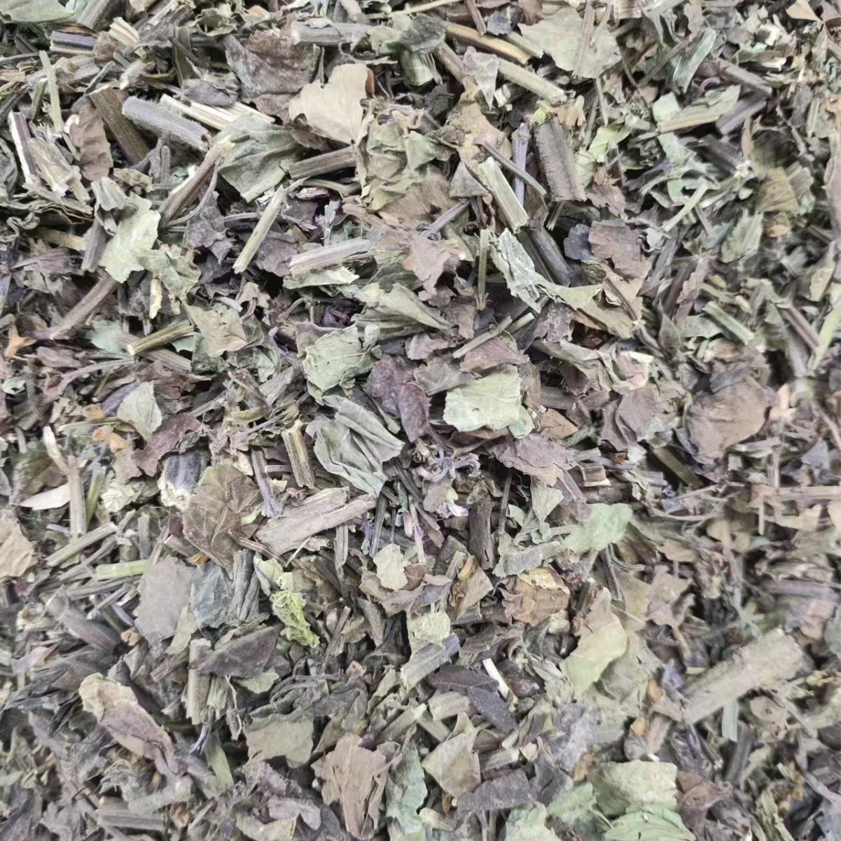 Shi Jian Chuan (Salvia chinensis) — Dried Chinese Herb for Traditional Decoctions - Image 3