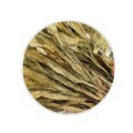 Jian Xue Qing (见血清) Dried Herbal Material — Traditional Chinese Herb, 500g - Image 5