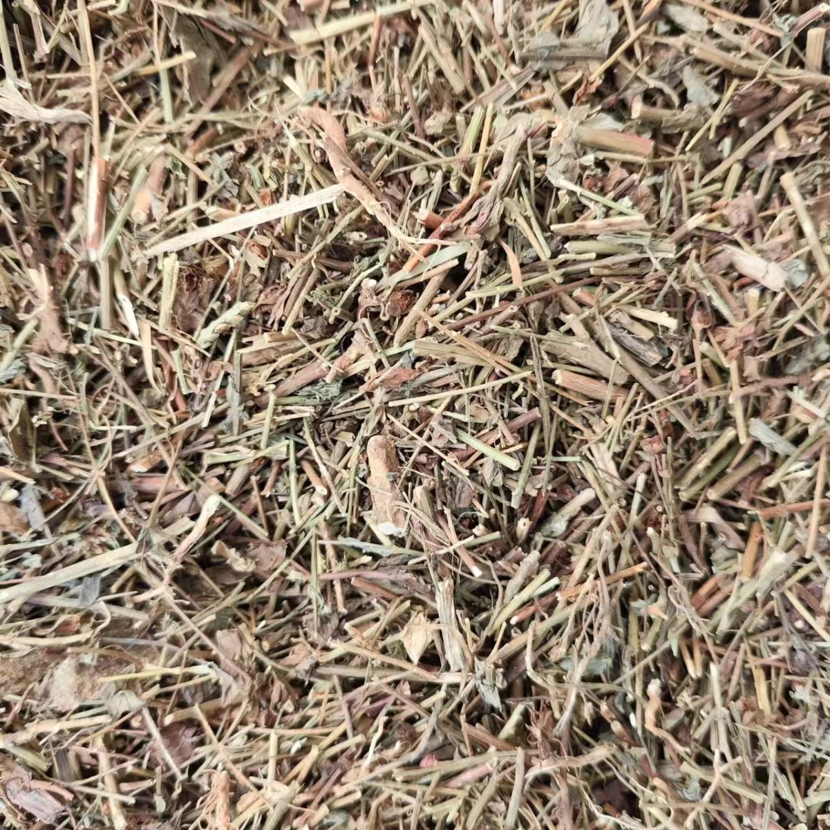 Tian Ji Huang (Hypericum japonicum) — Dried Food Herb, 500g, Custom Grinding Available - Image 4