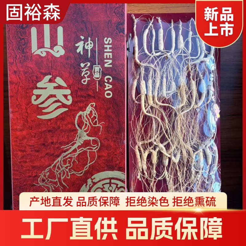 Mountain Ginseng Gift Box Dried Root Slices for Traditional Herbal Soups and Decoctions 70g - Image 3