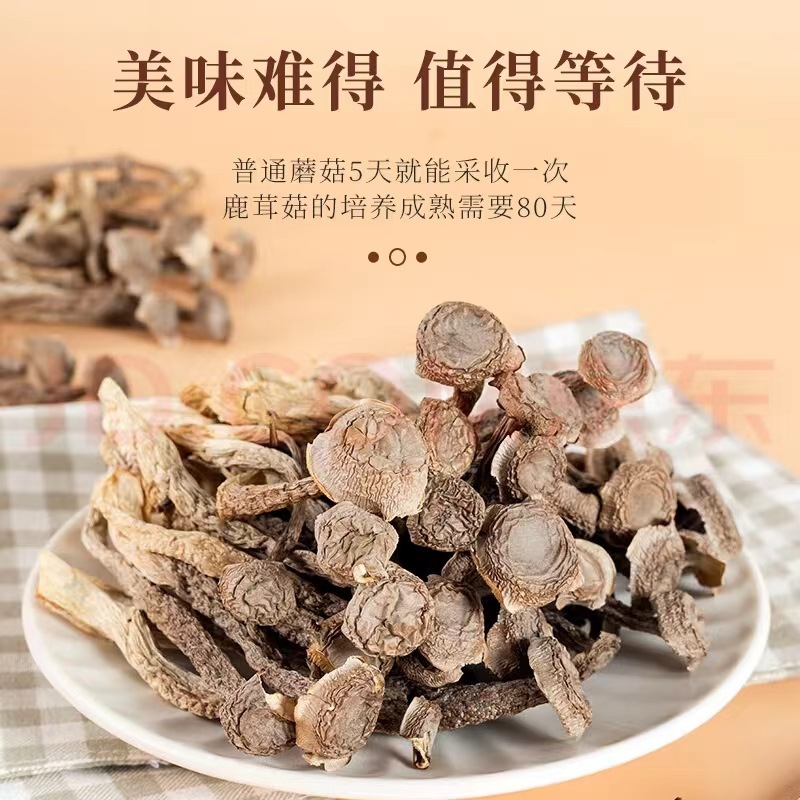 Dried Lyophyllum decastes Mushrooms Lu Rong Gu 60g Culinary Soup and Stir Fry Fungi - Image 3
