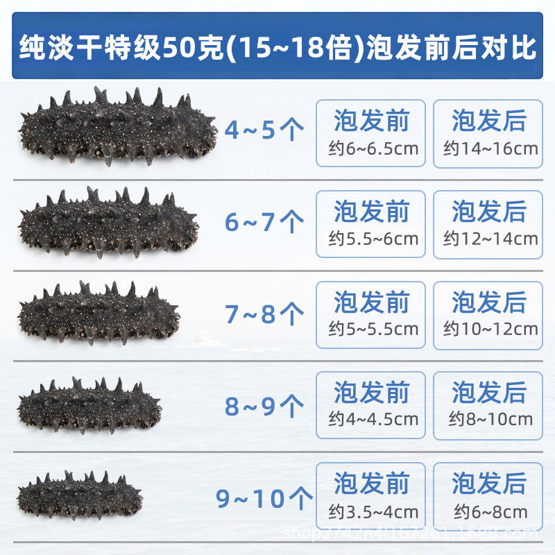 Dalian Lightly Dried Sea Cucumber 6-7 Year Dried Seafood 50g Grade 8-9 Pieces - Image 4