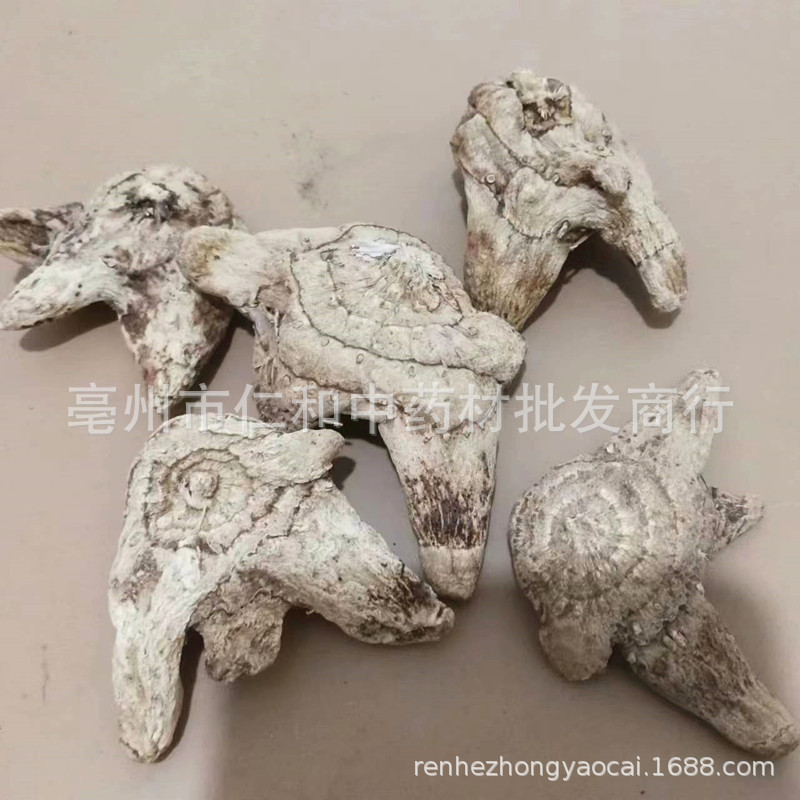Dried Bletilla Rhizome Bai Ji Sliced Yunnan New Crop Bulk Chinese Herb - Image 3