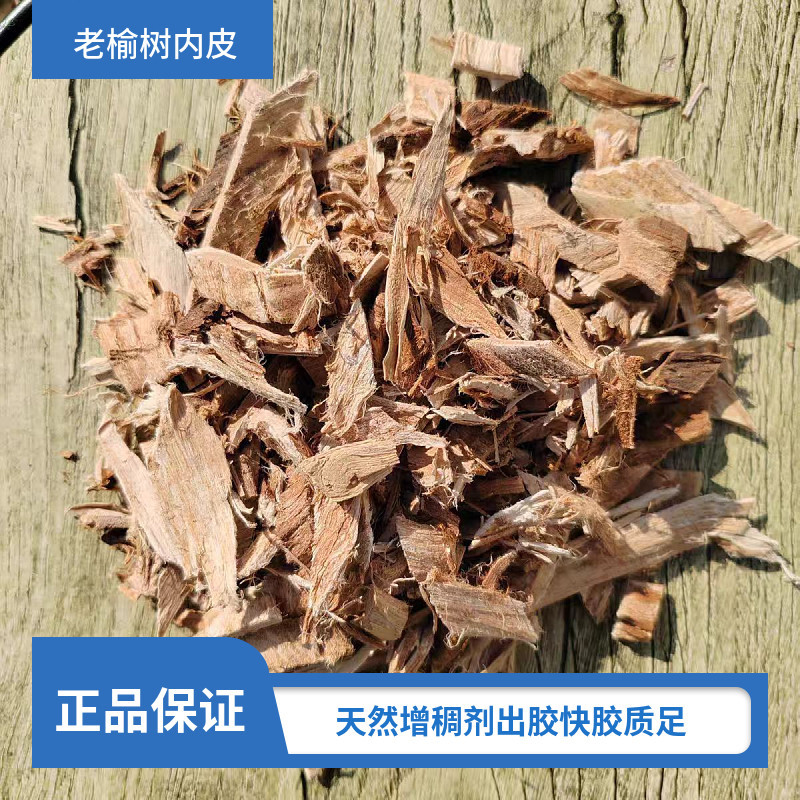 Elm Bark Yu Bai Pi Dried Inner Bark Natural Thickening Herb for Hair Rinse and Decoction 100g - Image 4
